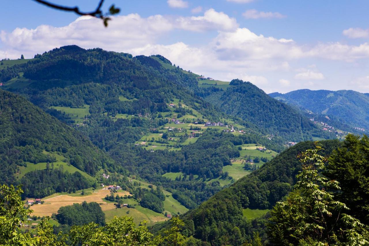 Willa Bomas House Cerkno Zewnętrze zdjęcie